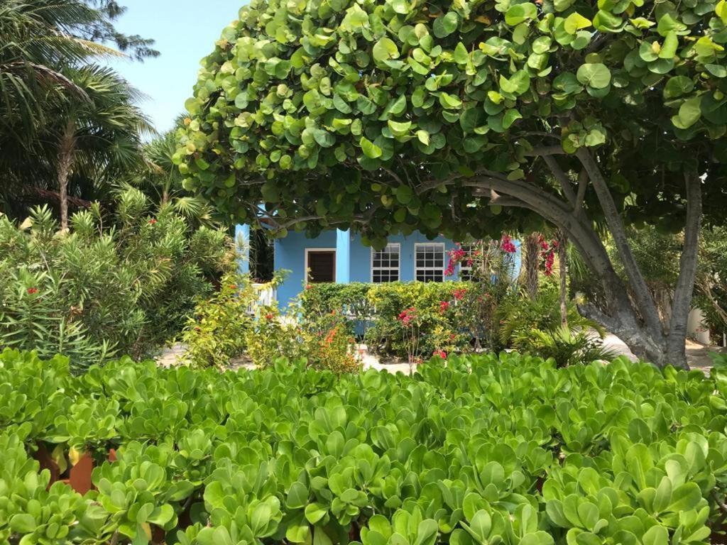 Sandy'S Secret Caye Caulker Exterior photo