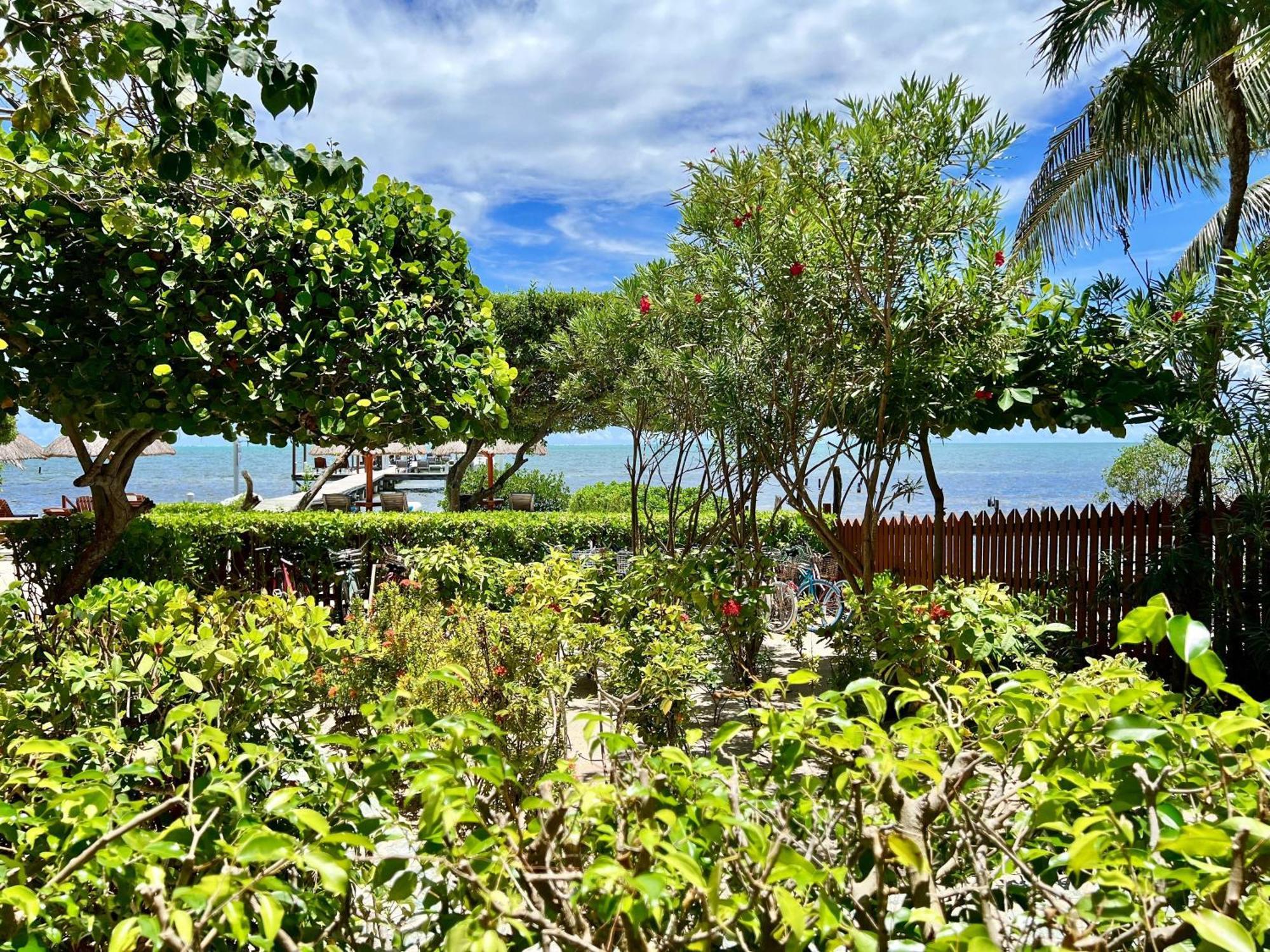 Sandy'S Secret Caye Caulker Exterior photo